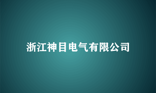 浙江神目电气有限公司