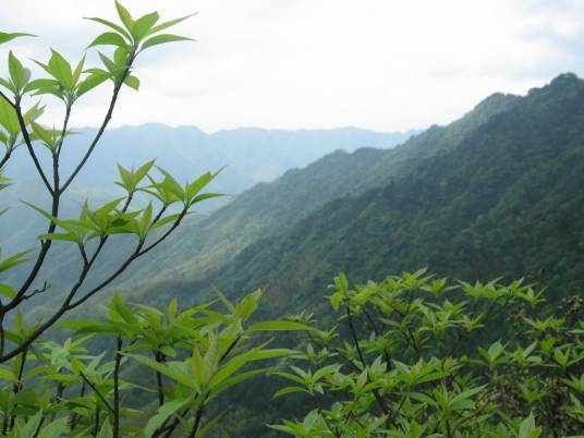 阳明山自然保护区