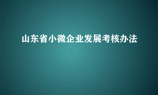 山东省小微企业发展考核办法