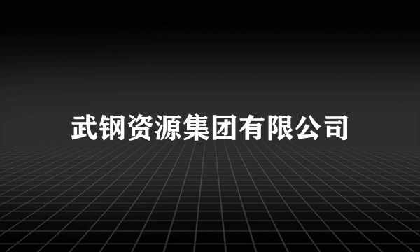 武钢资源集团有限公司