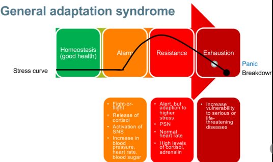 一般适应综合症