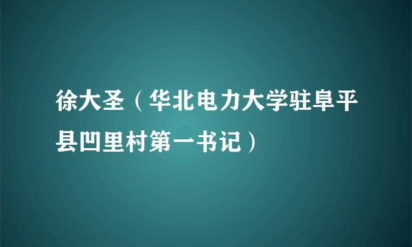 徐大圣（华北电力大学驻阜平县凹里村第一书记）