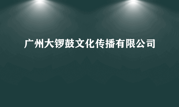 广州大锣鼓文化传播有限公司