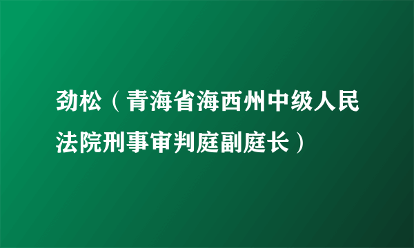 劲松（青海省海西州中级人民法院刑事审判庭副庭长）