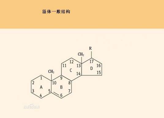 甾族化合物