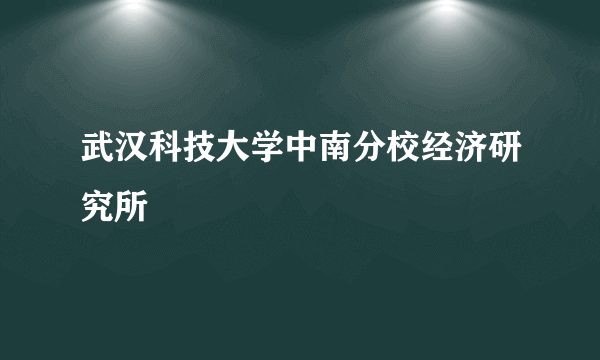 武汉科技大学中南分校经济研究所