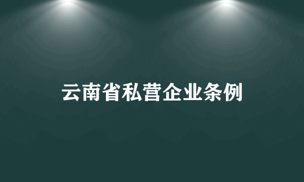 云南省私营企业条例