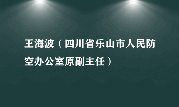 王海波（四川省乐山市人民防空办公室原副主任）