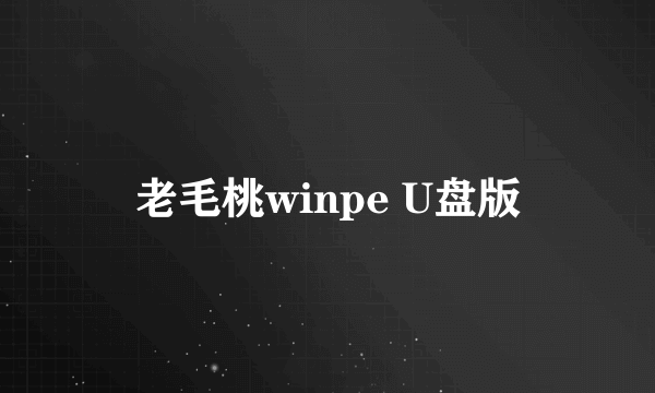 老毛桃winpe U盘版