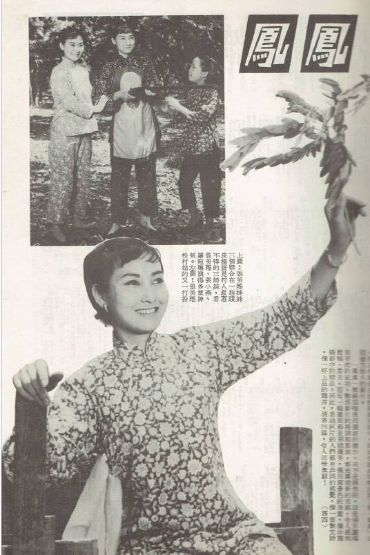 凤凤（1965年张美瑶主演的电影）