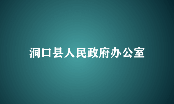 洞口县人民政府办公室