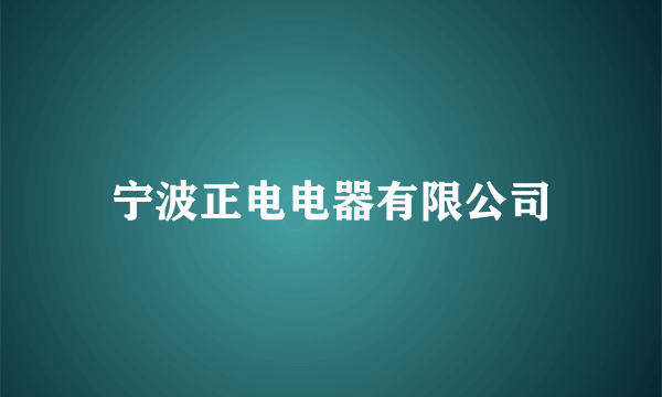 宁波正电电器有限公司