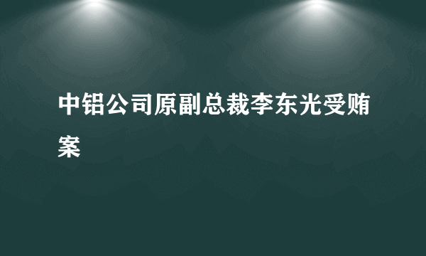 中铝公司原副总裁李东光受贿案