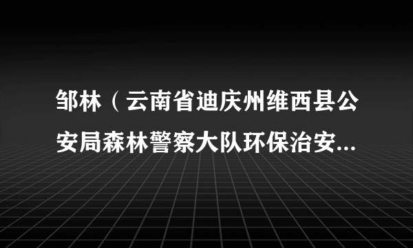 邹林（云南省迪庆州维西县公安局森林警察大队环保治安中队队长）