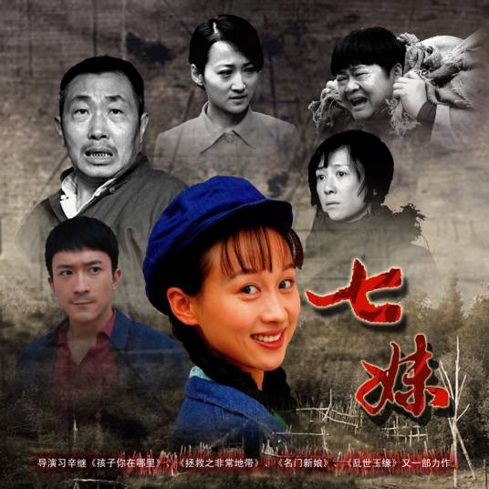 七妹（2009年习辛执导的电视剧）