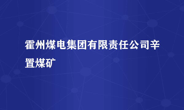 霍州煤电集团有限责任公司辛置煤矿