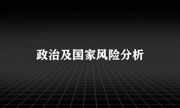 政治及国家风险分析