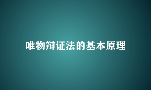 唯物辩证法的基本原理