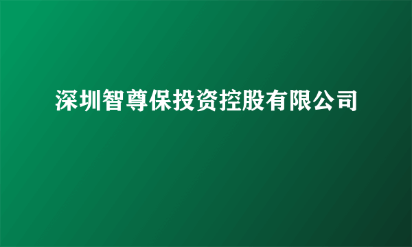 深圳智尊保投资控股有限公司