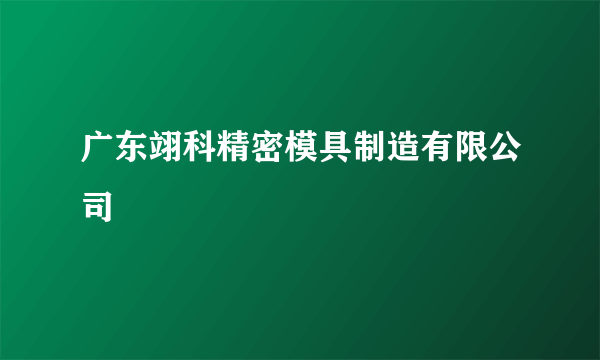 广东翊科精密模具制造有限公司