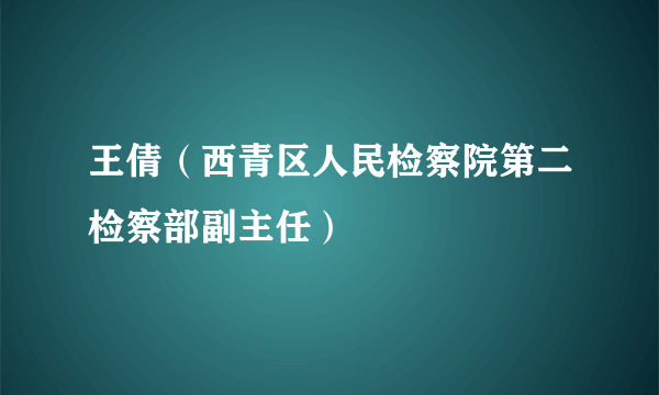 王倩（西青区人民检察院第二检察部副主任）