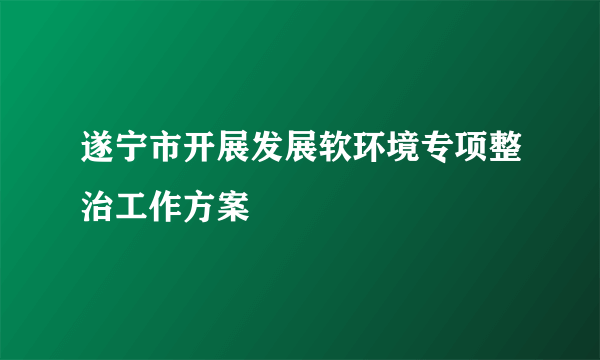 遂宁市开展发展软环境专项整治工作方案