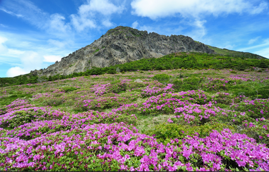 汉拿山国立公园