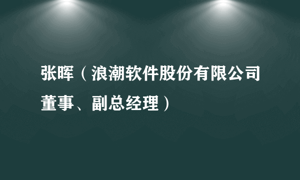 张晖（浪潮软件股份有限公司董事、副总经理）