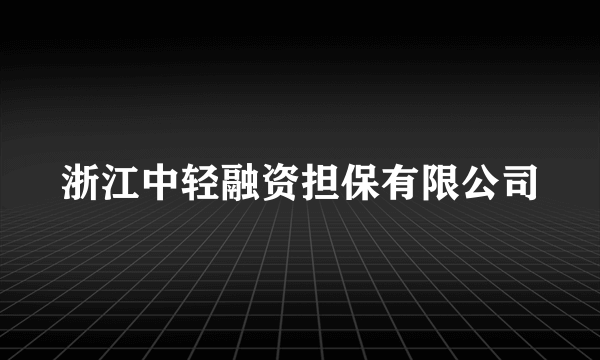 浙江中轻融资担保有限公司