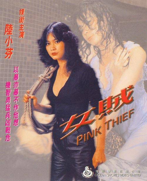 女贼（1982年岳千峰执导的犯罪电影）