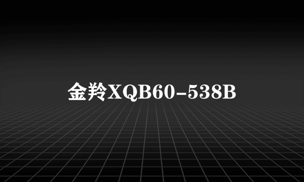 金羚XQB60-538B