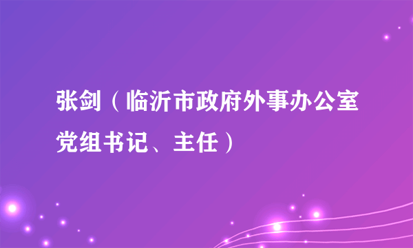 张剑（临沂市政府外事办公室党组书记、主任）