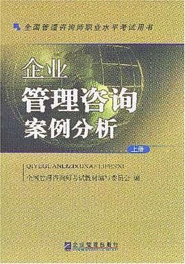 企业管理咨询案例分析（2007年企业管理出版的图书）