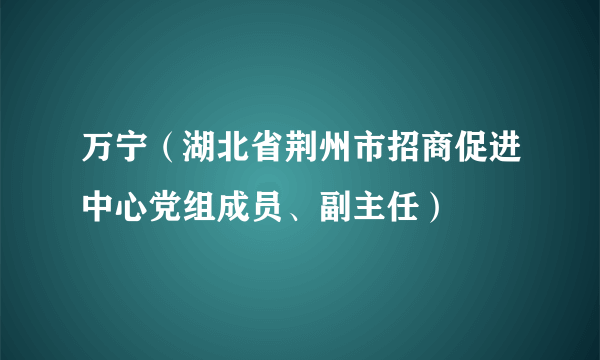 万宁（湖北省荆州市招商促进中心党组成员、副主任）