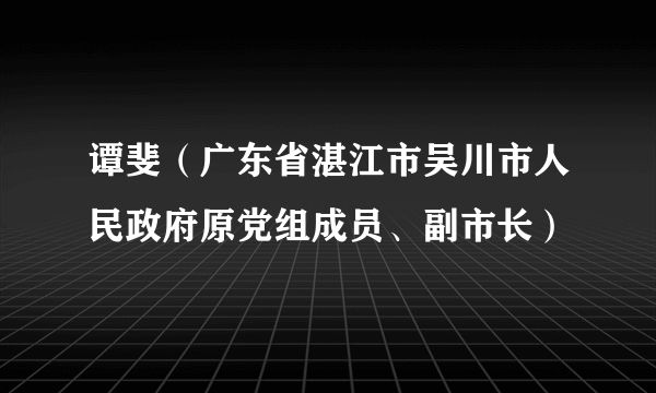 谭斐（广东省湛江市吴川市人民政府原党组成员、副市长）