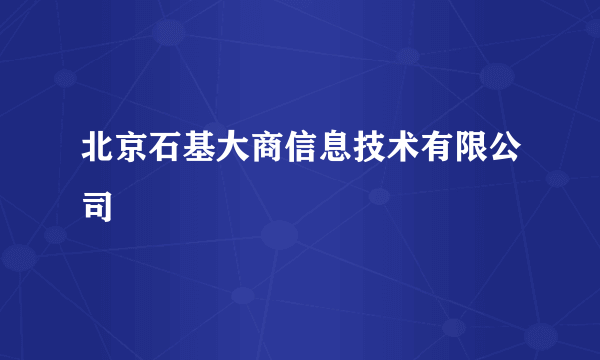 北京石基大商信息技术有限公司