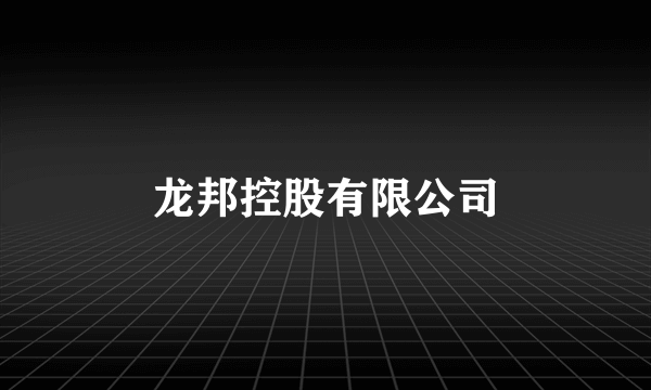 龙邦控股有限公司