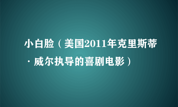 小白脸（美国2011年克里斯蒂·威尔执导的喜剧电影）