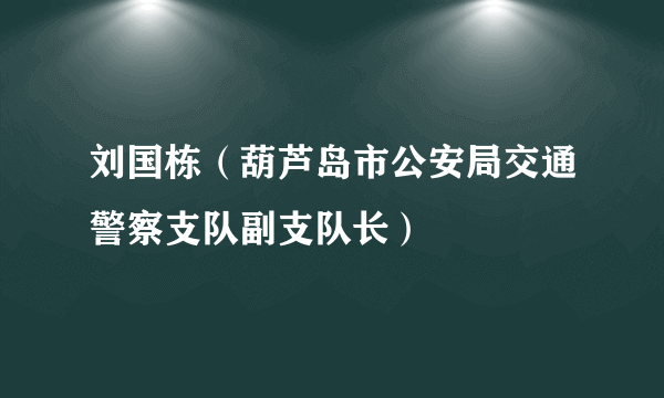 刘国栋（葫芦岛市公安局交通警察支队副支队长）