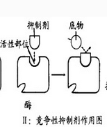 竞争性抑制剂