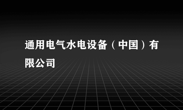 通用电气水电设备（中国）有限公司