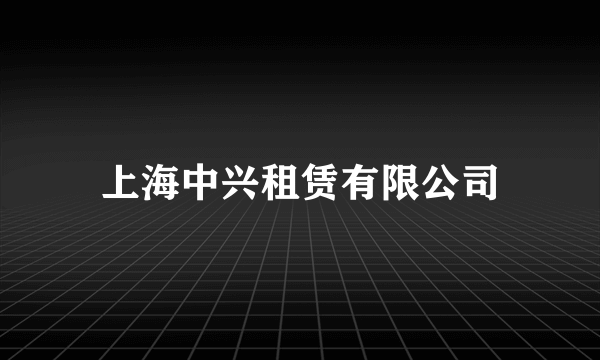 上海中兴租赁有限公司