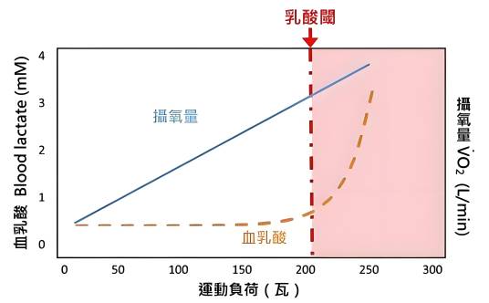 乳酸阈