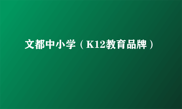 文都中小学（K12教育品牌）