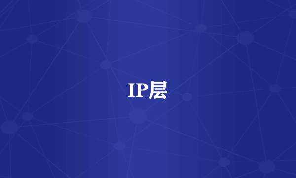 IP层