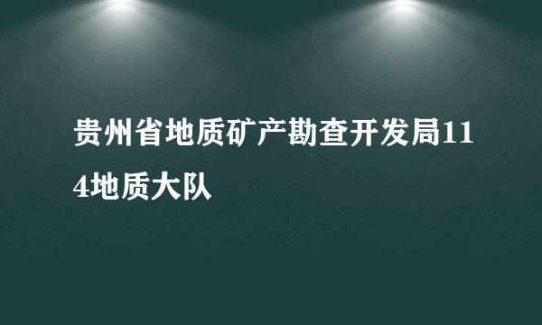 贵州省地质矿产勘查开发局114地质大队