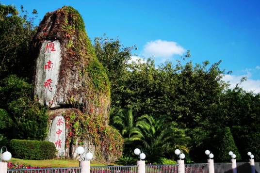 梅州市雁南飞茶田景区