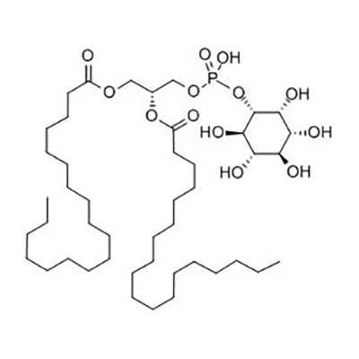 磷脂酰肌醇