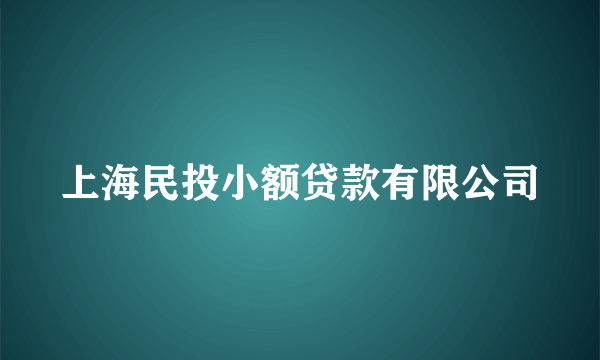 上海民投小额贷款有限公司