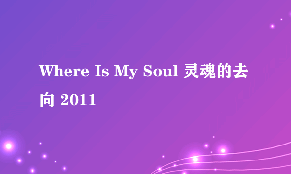 Where Is My Soul 灵魂的去向 2011